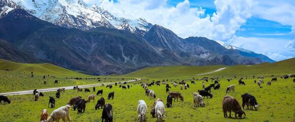 Chitral Kalash, Shandur & Hunza 11 Days 10 Nights Summer Tour