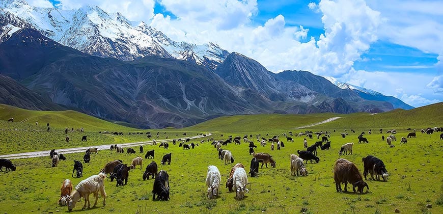 Chitral Kalash, Shandur & Hunza 11 Days 10 Nights Summer Tour