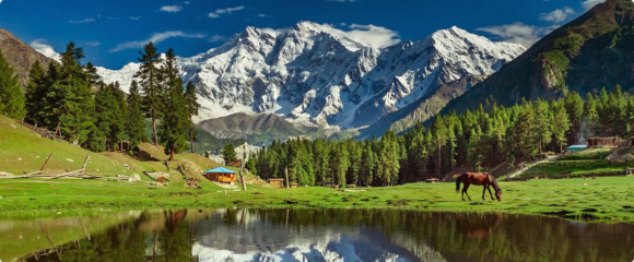 Fairy Meadows Tours