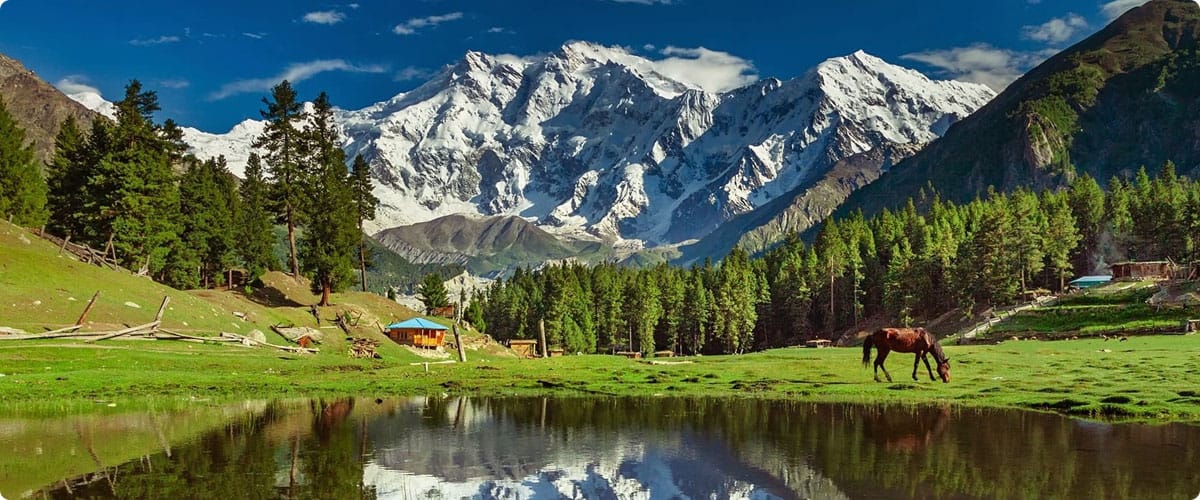 Fairy Meadows Tours