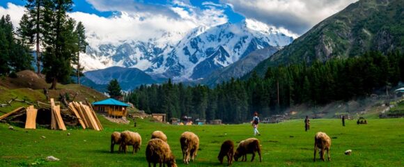 Fairy Meadows, Skardu Valley & Hunza Valley 12 Days 11 Nights Tour