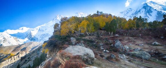 Fairy Meadows, Skardu Valley & Hunza Valley 15 Days 14 Nights Tour