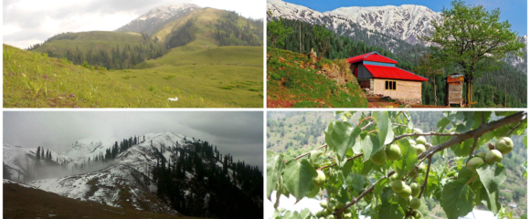 Ghanool Valley Near Balakot