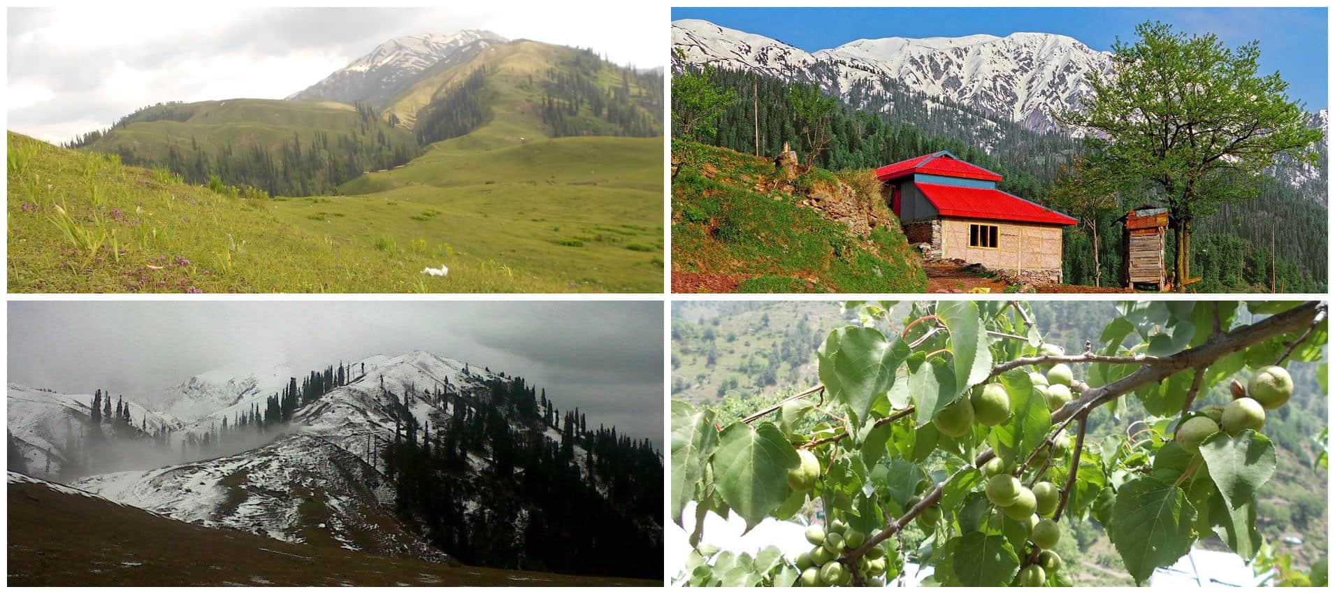 Ghanool Valley Near Balakot
