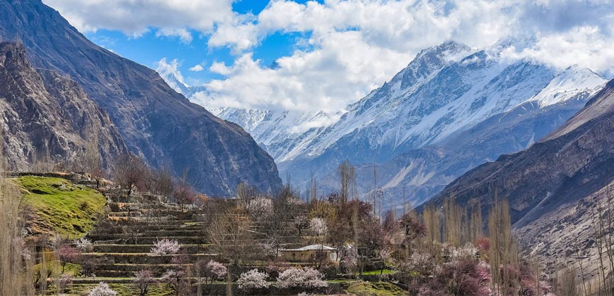 Hunza, Nagar & Naltar Valley Cherry Blossom 8 Days 7 Nights Tour