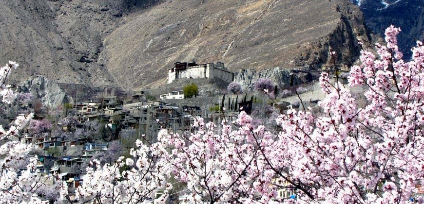 Cherry Blossom Hunza & Nagar Valley 5 Days 4 Nights Tour (BY AIR)
