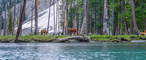 Mahodand Lake & Kalam 3 Days 2 Nights Tour