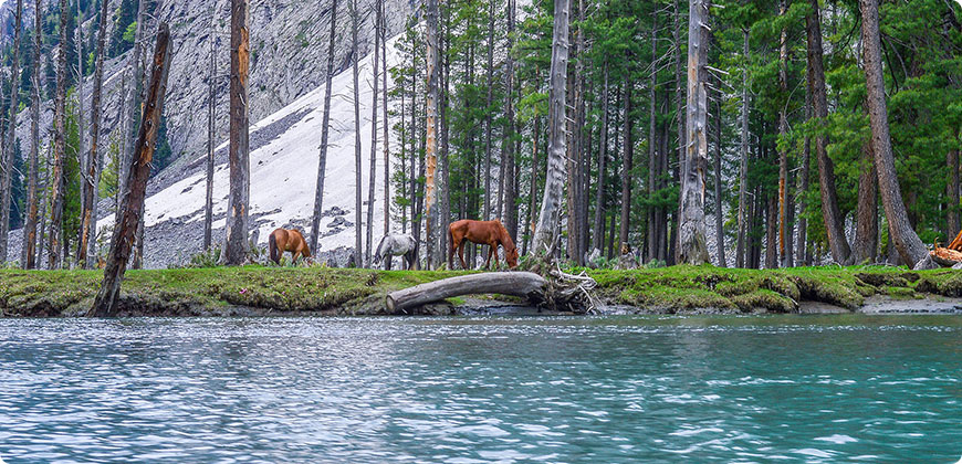 Mahodand Lake & Kalam 3 Days 2 Nights Tour