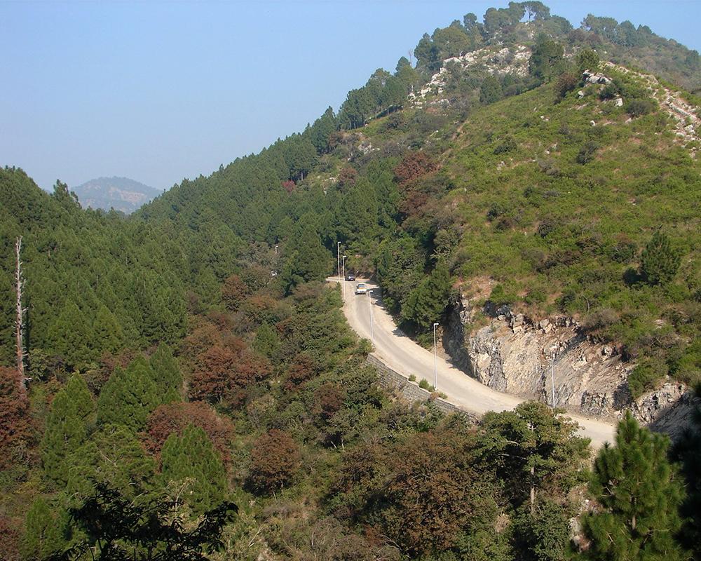 "Margalla