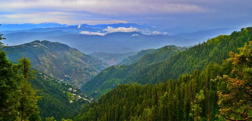 Murree, Nathia Gali & Thandiani 3 Days 2 Nights Tour