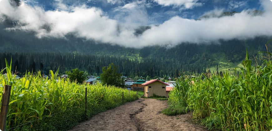 Naran, Saif-ul-Malook & Neelum Valley 6 Days 5 Nights Tour