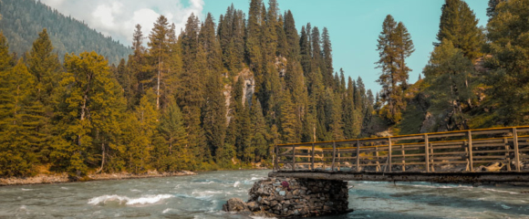 Neelum Valley & Arang Kel 4 Days 3 Nights Tour