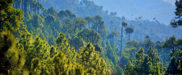 Neelum Valley & Nathia Gali 5 Days 4 Nights Tour