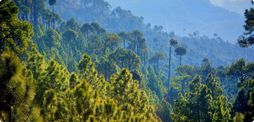 Neelum Valley & Nathia Gali 5 Days 4 Nights Tour