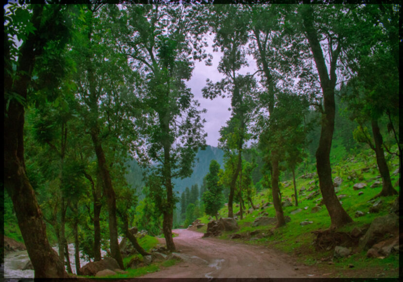 Patheka