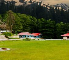 Pine Park Hotel Shogran