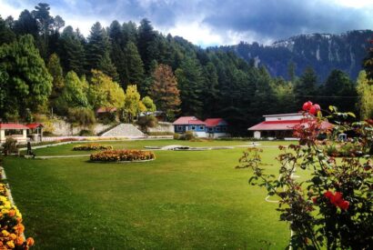 Pine Park Hotel Shogran