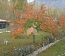Snowland Guest House Skardu