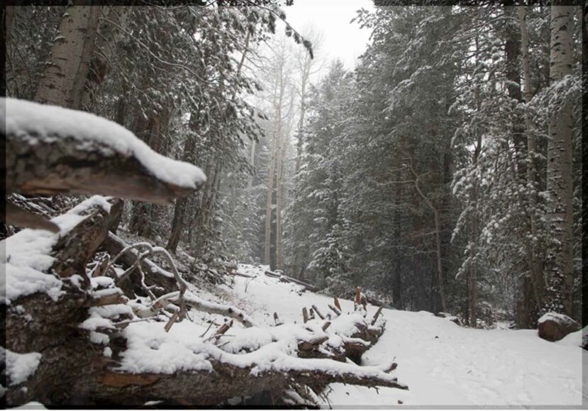 10 Places to Visit in Winter 2022