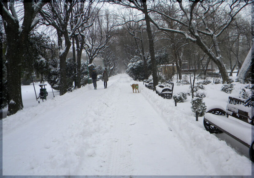 10 Places to Visit in Winter 2022